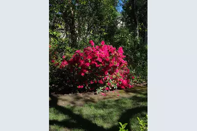 9111 Yellow Flower Place, Fair Oaks, CA 95628 - Photo 70