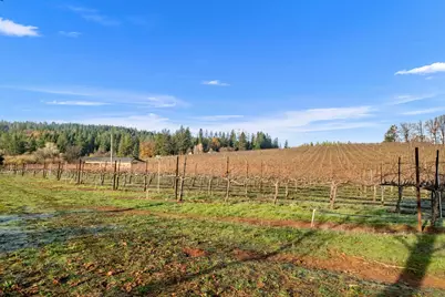 2635 Cleese Road, Camino, CA 95709 - Photo 26