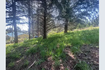 56 E Vista Rd, Whitethorn, CA 95589 - Photo 4