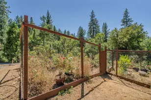19130 Ponderosa Way, Volcano, CA 95689 - Photo 42