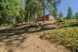 19130 Ponderosa Way, Volcano, CA 95689 - Photo 48