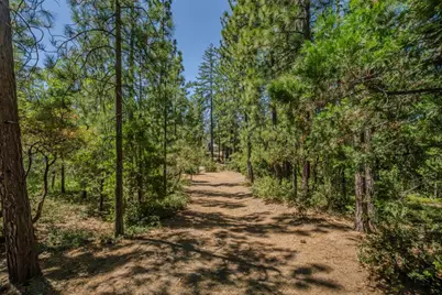 19130 Ponderosa Way, Volcano, CA 95689 - Photo 52