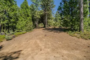 19130 Ponderosa Way, Volcano, CA 95689 - Photo 62