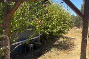 16862 Dutch Mine Rd, Jamestown, CA 95327 - Photo 32