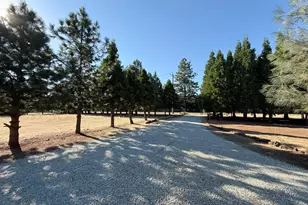 5000 Wilson Hill Rd, Manton, CA 96059 - Photo 54