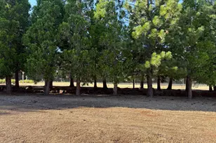 5000 Wilson Hill Rd, Manton, CA 96059 - Photo 58