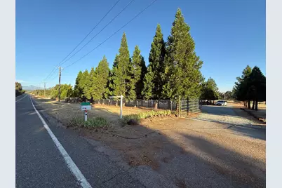 5000 Wilson Hill Road, Manton, CA 96059 - Photo 62