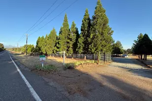 5000 Wilson Hill Rd, Manton, CA 96059 - Photo 62