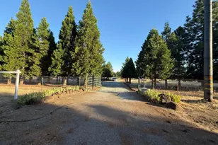 5000 Wilson Hill Rd, Manton, CA 96059 - Photo 60
