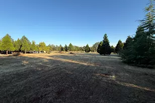 5000 Wilson Hill Rd, Manton, CA 96059 - Photo 60