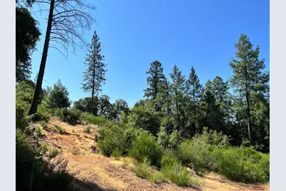75 Bottle Hill Road, Georgetown, CA 95634 - Photo 1