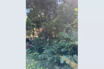 858 Meadow, Arnold, CA 95223 - Photo 4