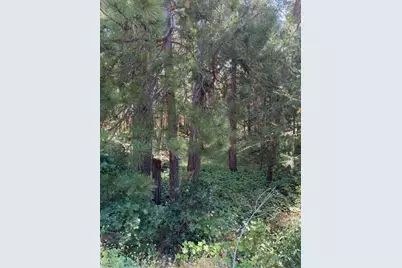858 Meadow, Arnold, CA 95223 - Photo 1