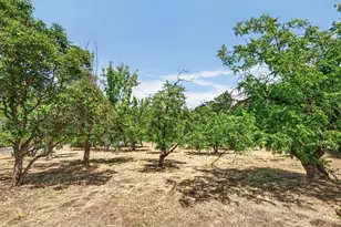 1543 Rancho View Dr, Lafayette, CA 94549 - Photo 58