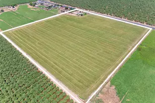 29578 State Hwy 120, Escalon, CA 95320 - Photo 14