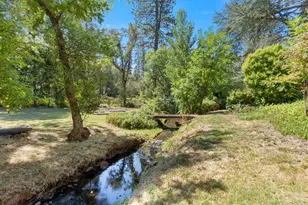 1040 Dog Bar Rd, Colfax, CA 95713 - Photo 64