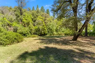 1040 Dog Bar Rd, Colfax, CA 95713 - Photo 62