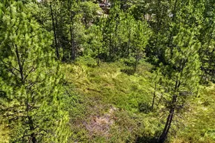 14845 Stinson Dr, Grass Valley, CA 95949 - Photo 30