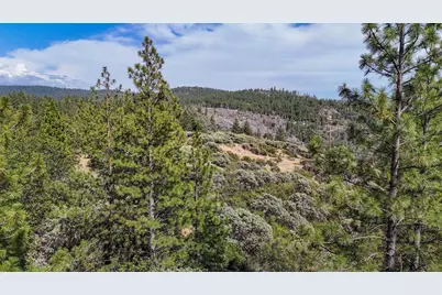 0 Grizzly Flat Road, Somerset, CA 95684 - Photo 14
