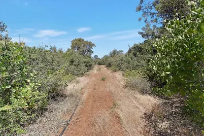 8972 Amoruso Lane, Oregon House, CA 95962 - Photo 52