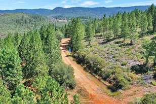 9652 Marysville Rd, Dobbins, CA 95935 - Photo 1