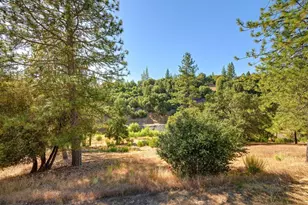 4255 Wild Lilac Ln, Greenwood, CA 95635 - Photo 56