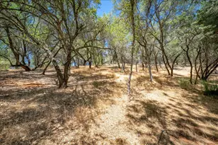 4350 Meadowview Acres Rd, Cool, CA 95614 - Photo 52