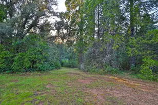 3333 Bingham Ln, Georgetown, CA 95634 - Photo 64