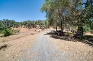 7071 Bayne Rd, Placerville, CA 95667 - Photo 52
