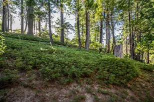 2707 Navajo Dr, Dorrington, CA 95223 - Photo 32