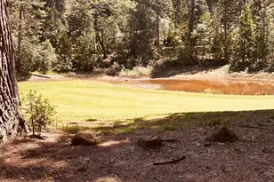 01 Forest Meadows Dr, Murphys, CA 95247 - Photo 10