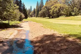 01 Forest Meadows Dr, Murphys, CA 95247 - Photo 12
