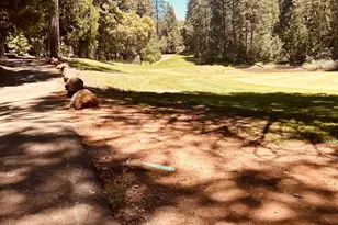 01 Forest Meadows Dr, Murphys, CA 95247 - Photo 1