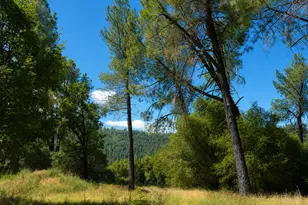 6600 Happy Valley Rd, Somerset, CA 95684 - Photo 8