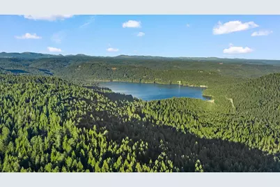 19975 Scotts Flat Road, Nevada City, CA 95959 - Photo 12