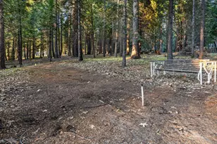 19975 Scotts Flat Rd, Nevada City, CA 95959 - Photo 50