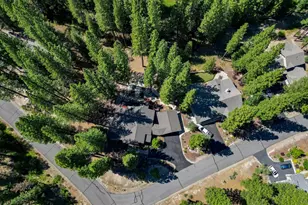 243 Black Bear Trail, Clio, CA 95746 - Photo 40