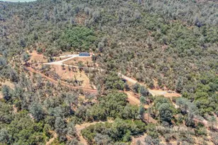1480 Gelding Rd, Angels Camp, CA 95222 - Photo 64