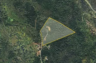 1480 Gelding Rd, Angels Camp, CA 95222 - Photo 60
