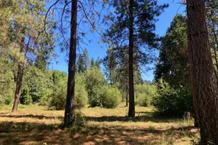 12948 Baker, Camptonville, CA 95922 - Photo 26