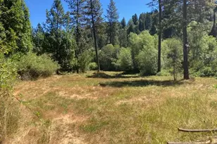 12948 Baker, Camptonville, CA 95922 - Photo 32