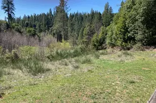 12948 Baker, Camptonville, CA 95922 - Photo 30