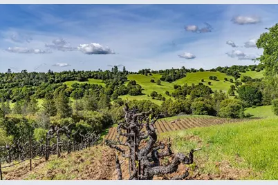 15111 Tyler Road, Fiddletown, CA 95629 - Photo 76