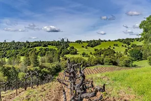 15111 Tyler Rd, Fiddletown, CA 95629 - Photo 76