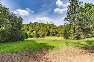 15111 Tyler Rd, Fiddletown, CA 95629 - Photo 82