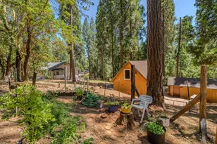 27161 Barton Rd, Pioneer, CA 95666 - Photo 30