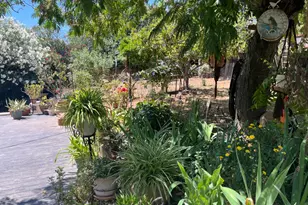 215 E Sierra View Dr, Jackson, CA 95642 - Photo 30