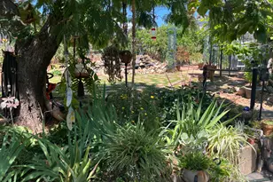 215 E Sierra View Dr, Jackson, CA 95642 - Photo 2