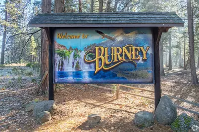 37398 Cypress Avenue, Burney, CA 96013 - Photo 18
