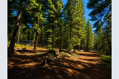 30196 Buckthorn Lane, Nevada City, CA 95959 - Photo 4